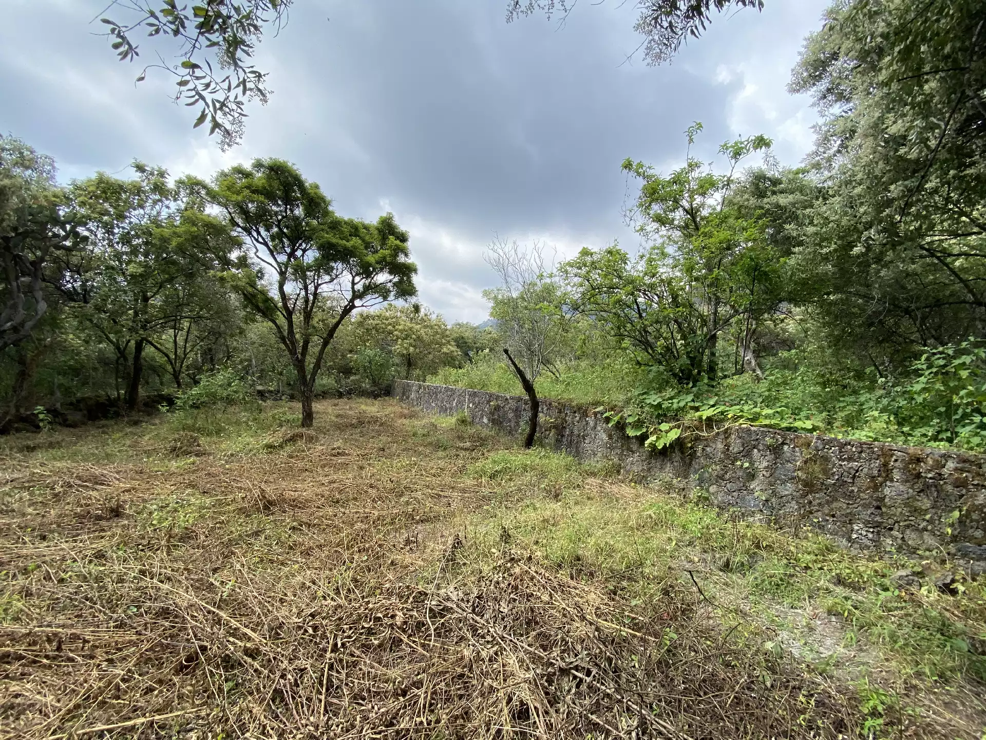 Terreno en Venta en Tepoztlán con Vista 