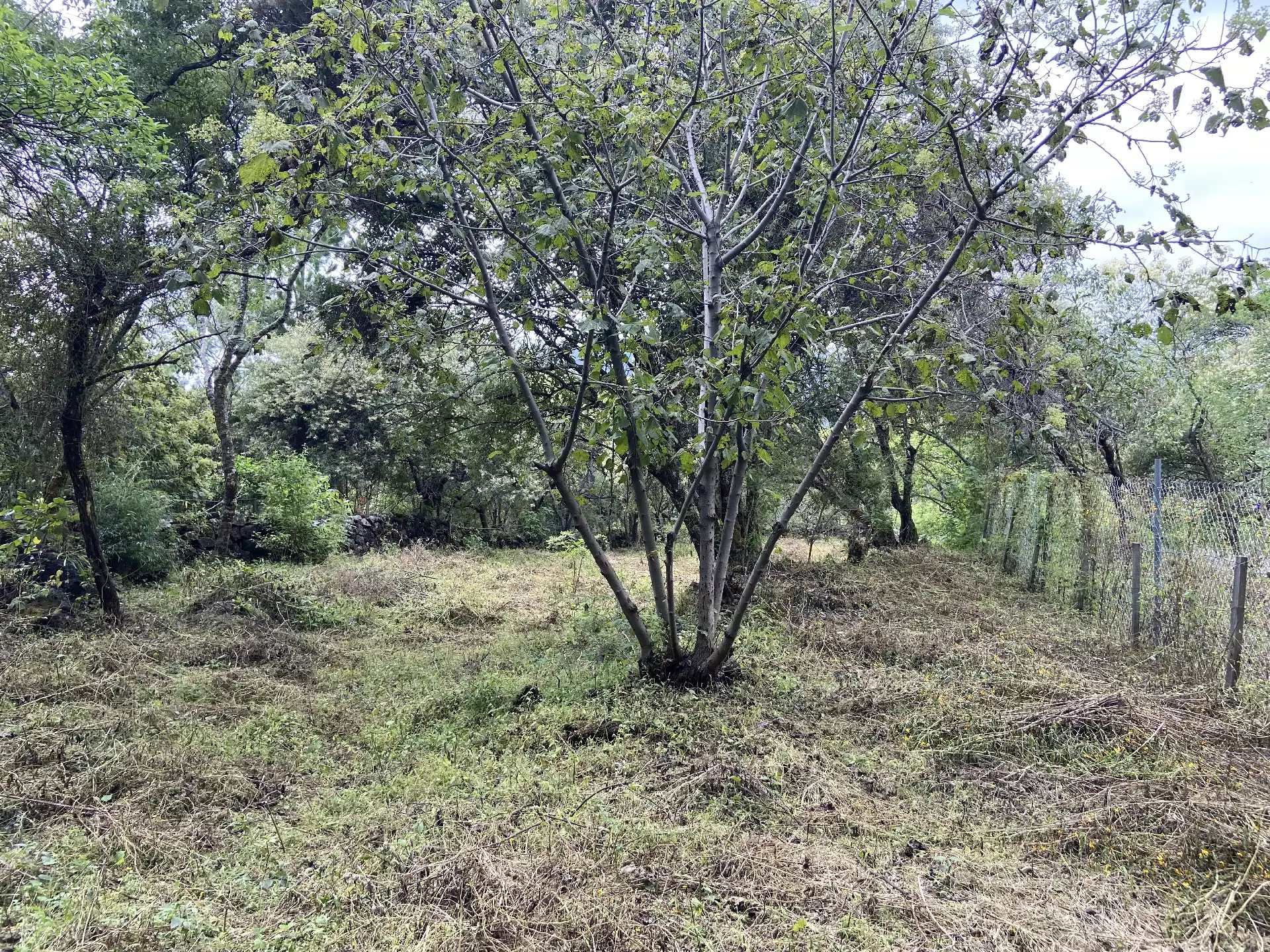 Terreno en Venta en Tepoztlán con Vista 