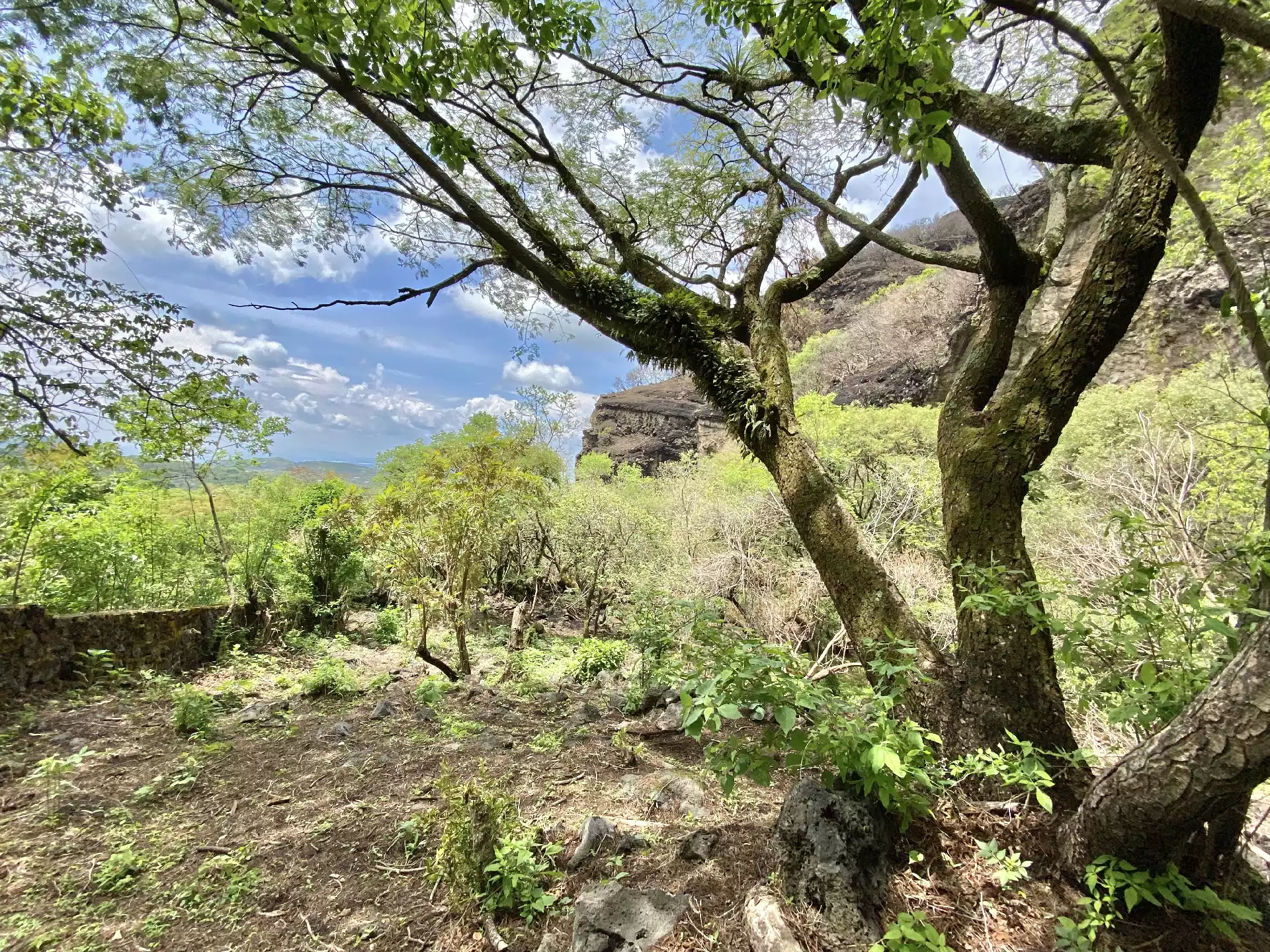 Terreno en Venta en Tepoztlán con Vista 