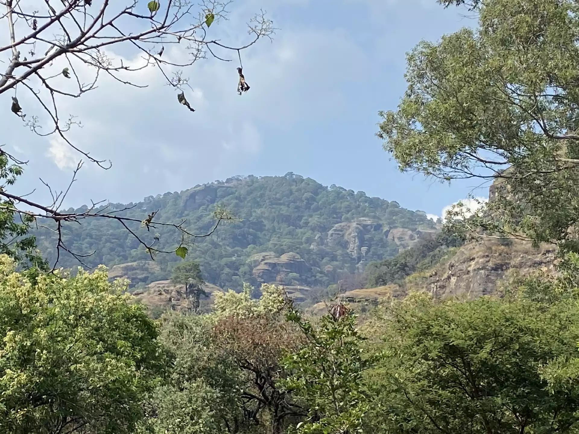 Terreno en Venta en Tepoztlán con Vista 