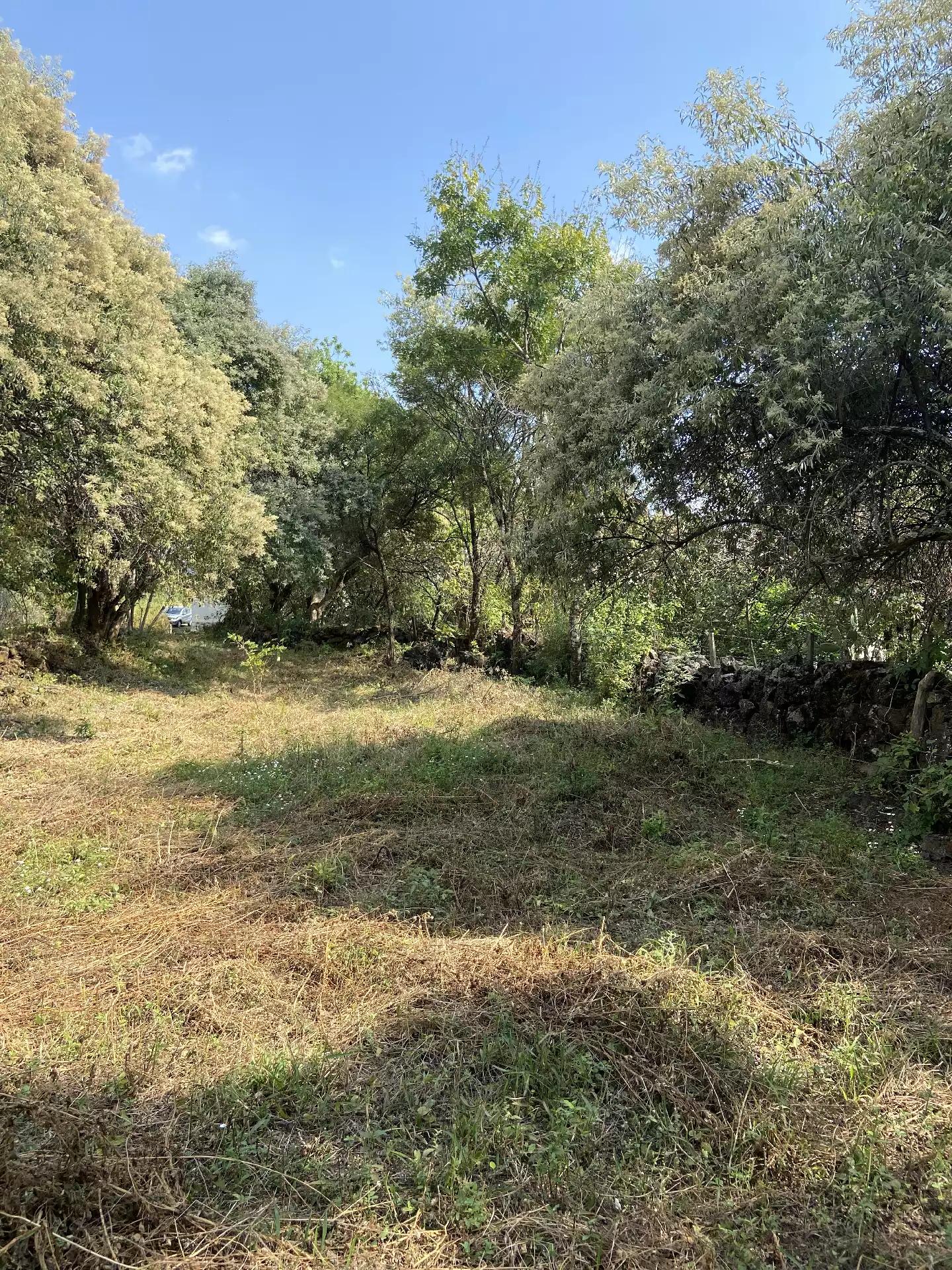 Terreno en Venta en Tepoztlán con Vista 