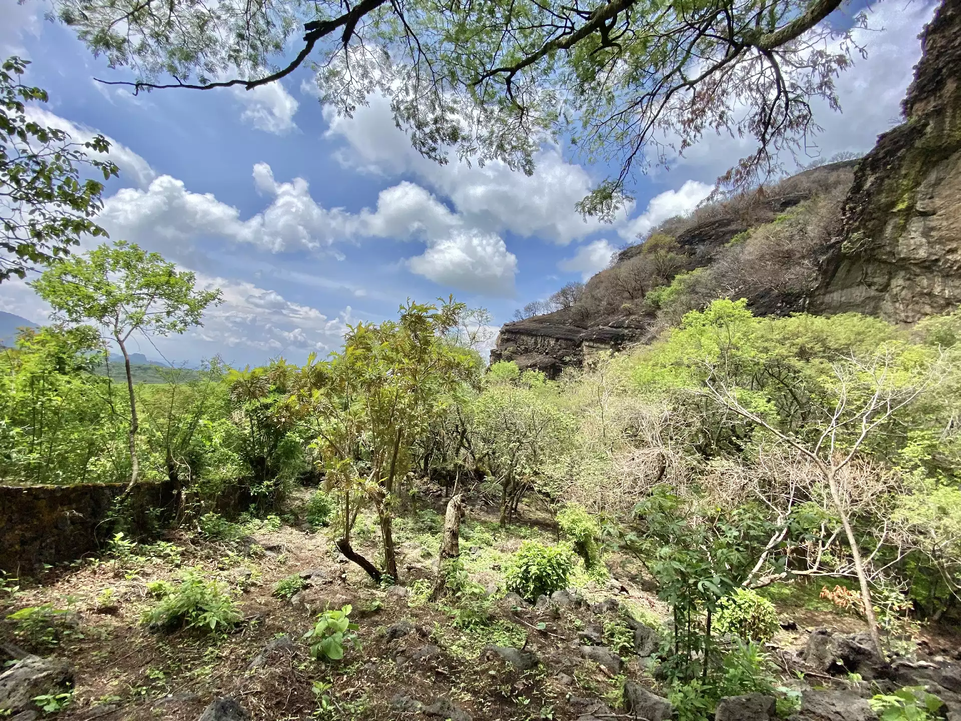 Terreno en Venta en Tepoztlán con Vista 