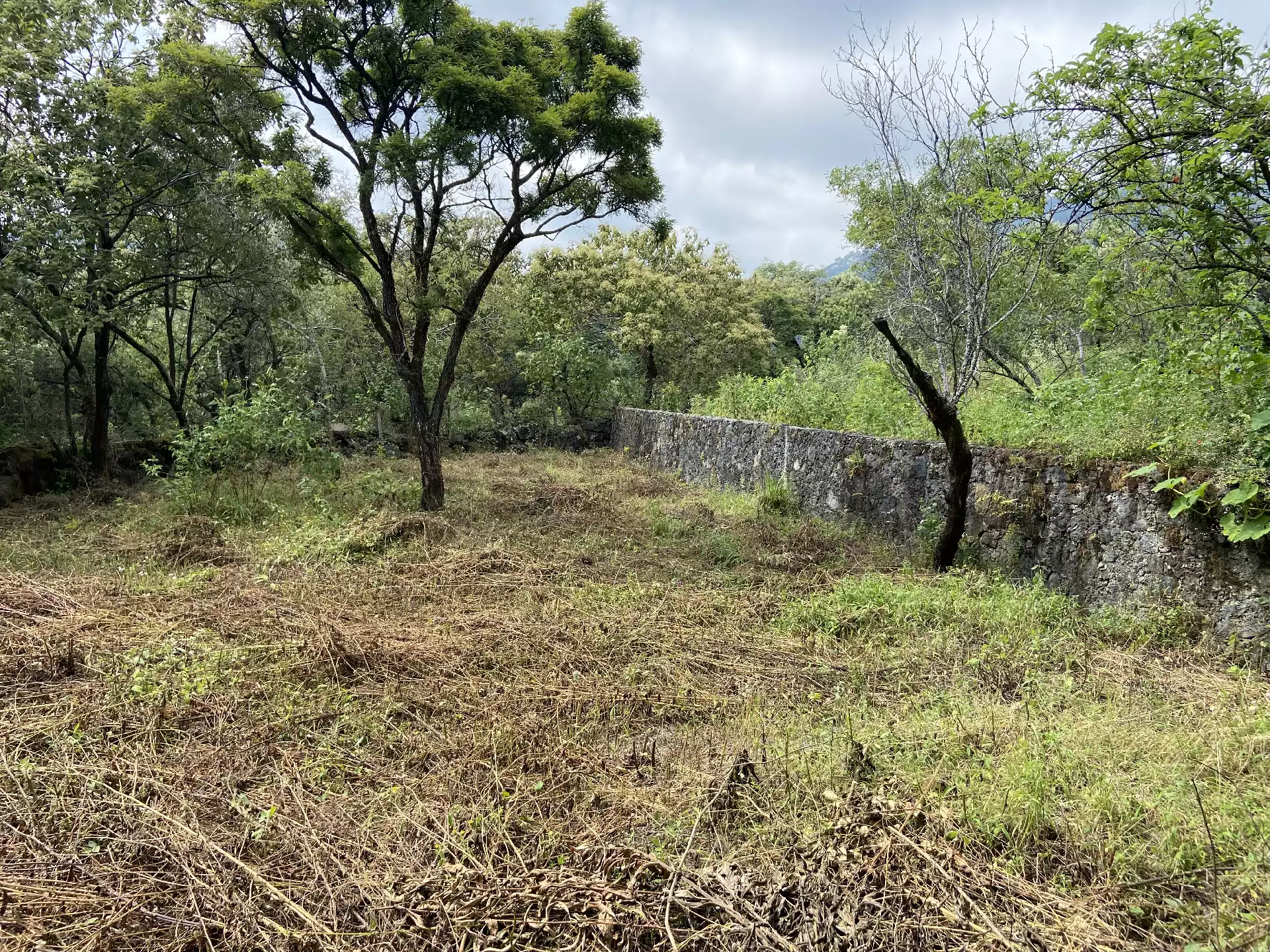 Terreno en Venta en Tepoztlán con Vista 