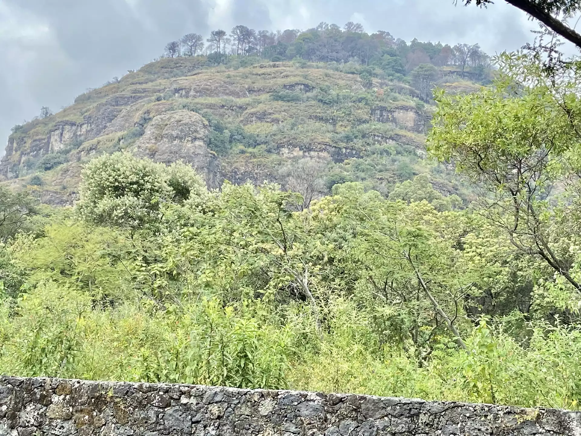 Terreno en Venta en Tepoztlán con Vista 