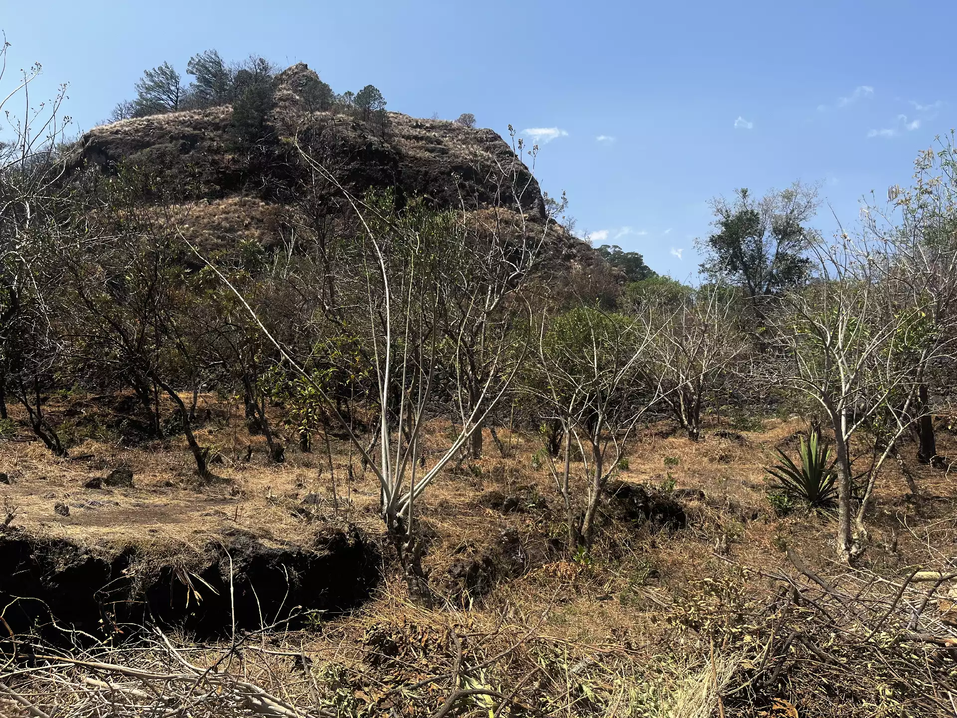 Terreno en Venta en Privada con Portón de acceso en Tepoztlán Morelos