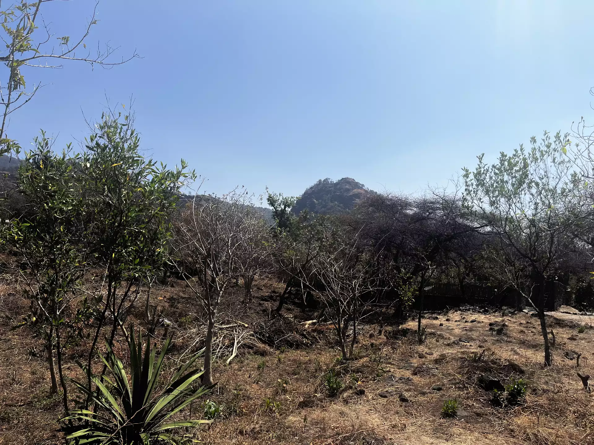 Terreno en Venta en Privada con Portón de acceso en Tepoztlán Morelos