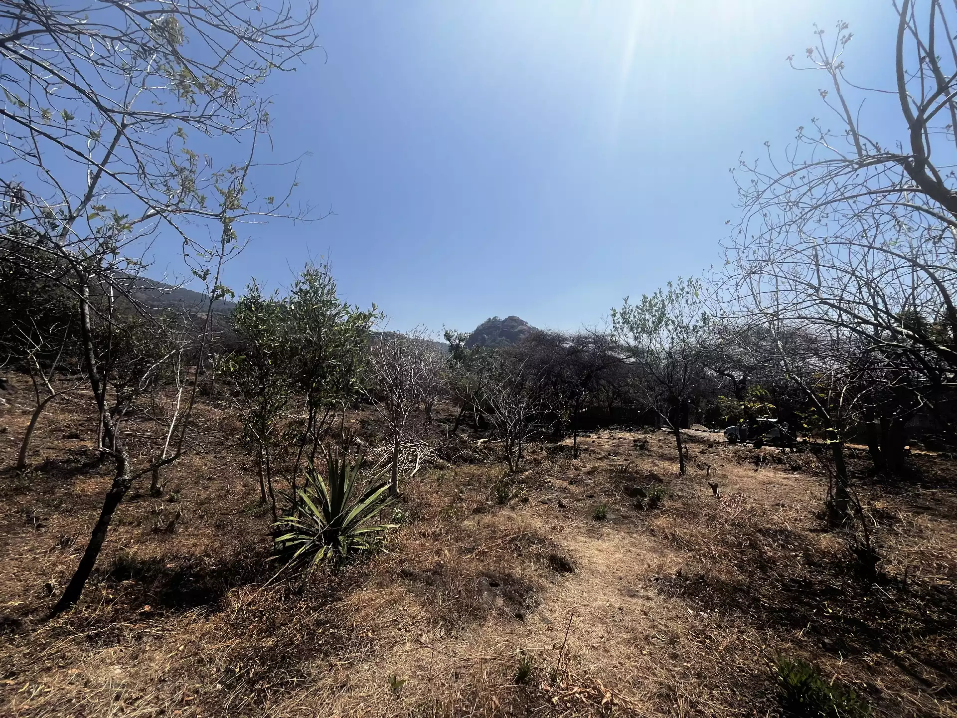 Terreno en Venta en Privada con Portón de acceso en Tepoztlán Morelos
