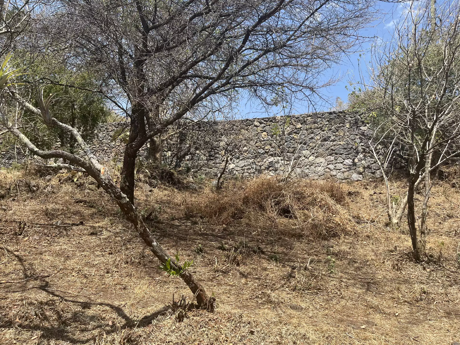 Terreno en Venta en Privada con Portón de acceso en Tepoztlán Morelos