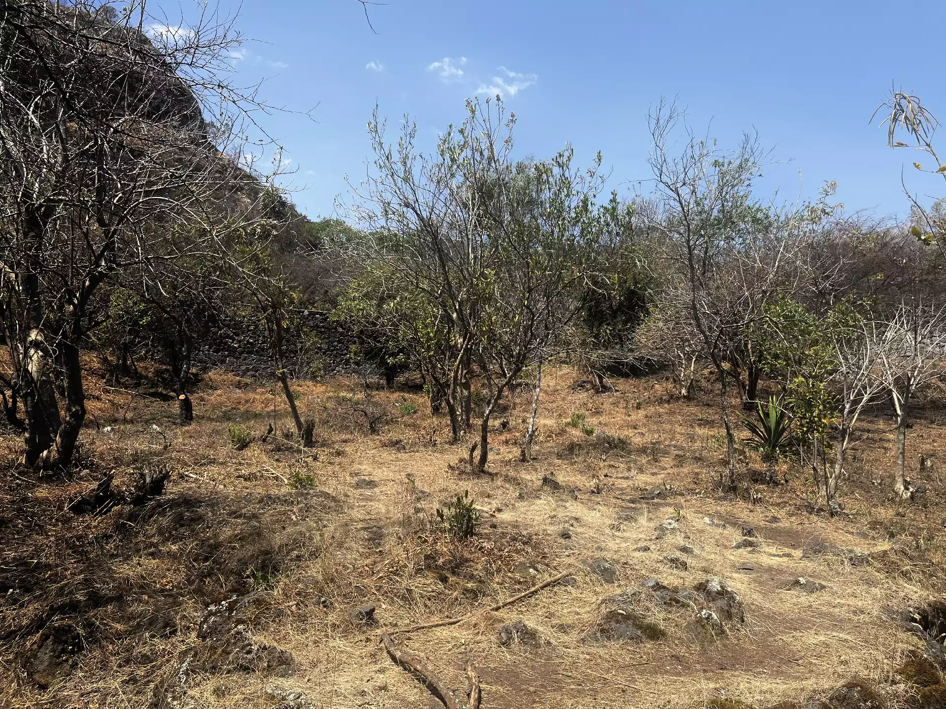 Terreno en Venta en Privada con Portón de acceso en Tepoztlán Morelos