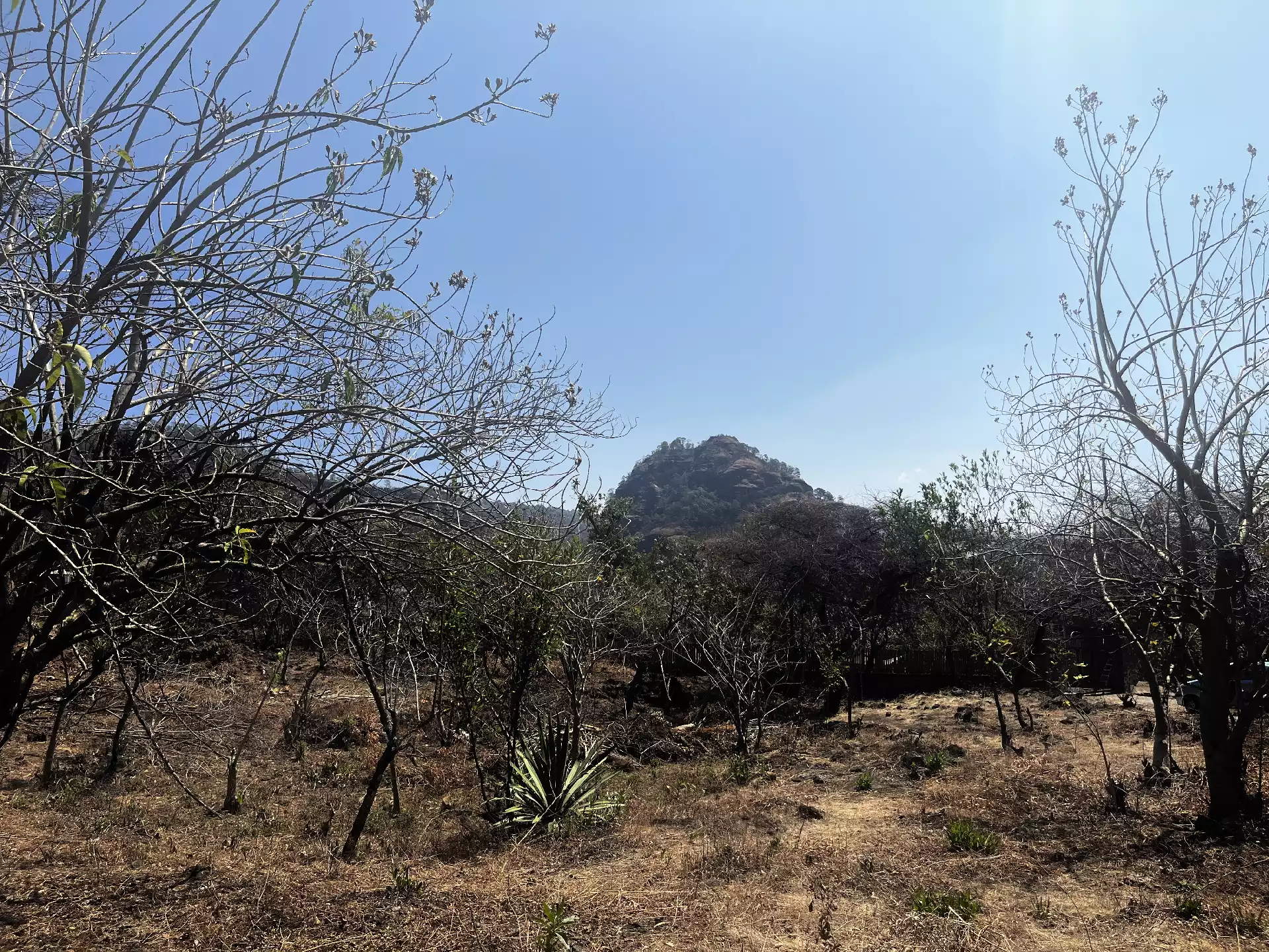 Terreno en Venta en Privada con Portón de acceso en Tepoztlán Morelos