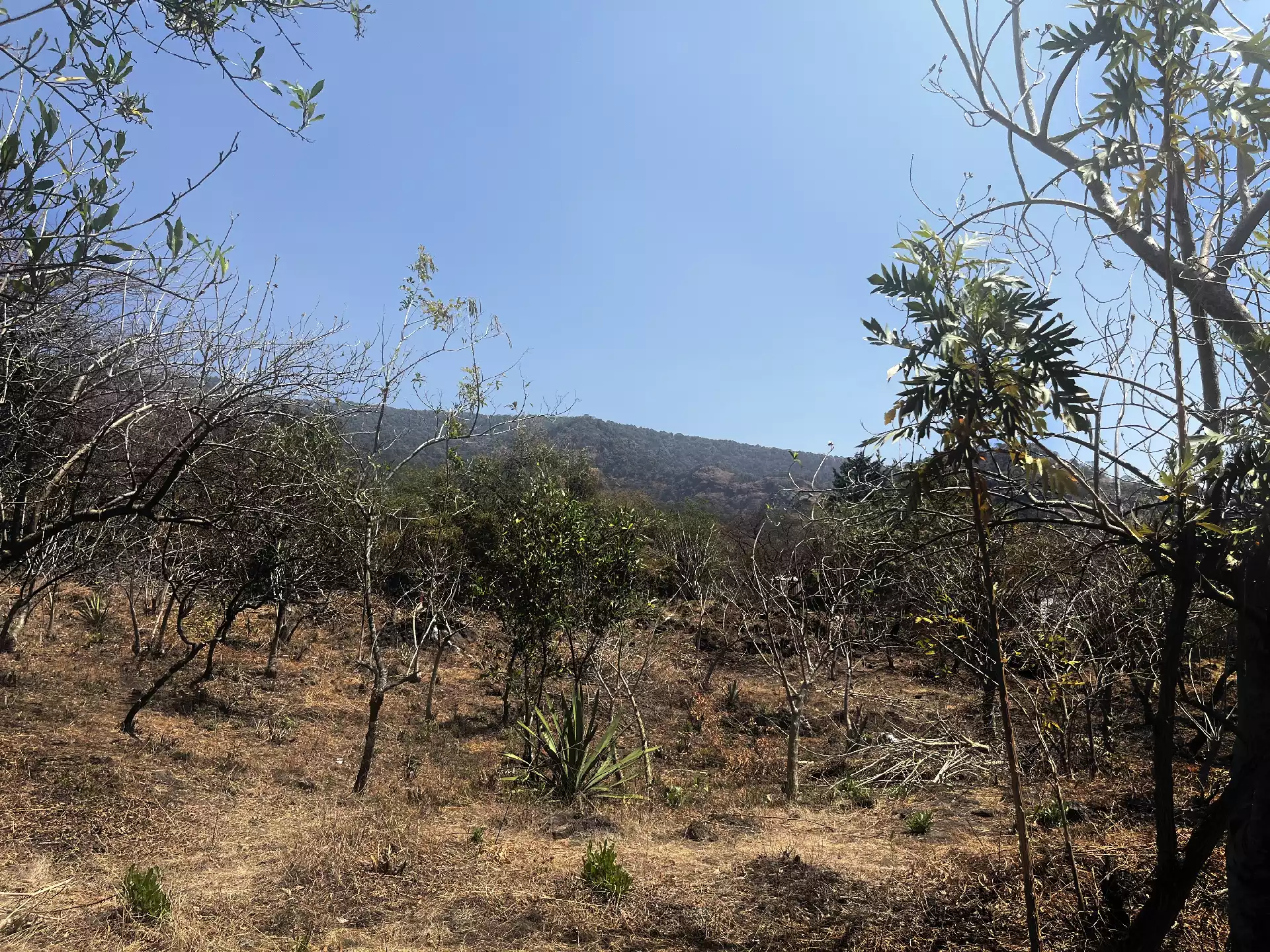 Terreno en Venta en Privada con Portón de acceso en Tepoztlán Morelos