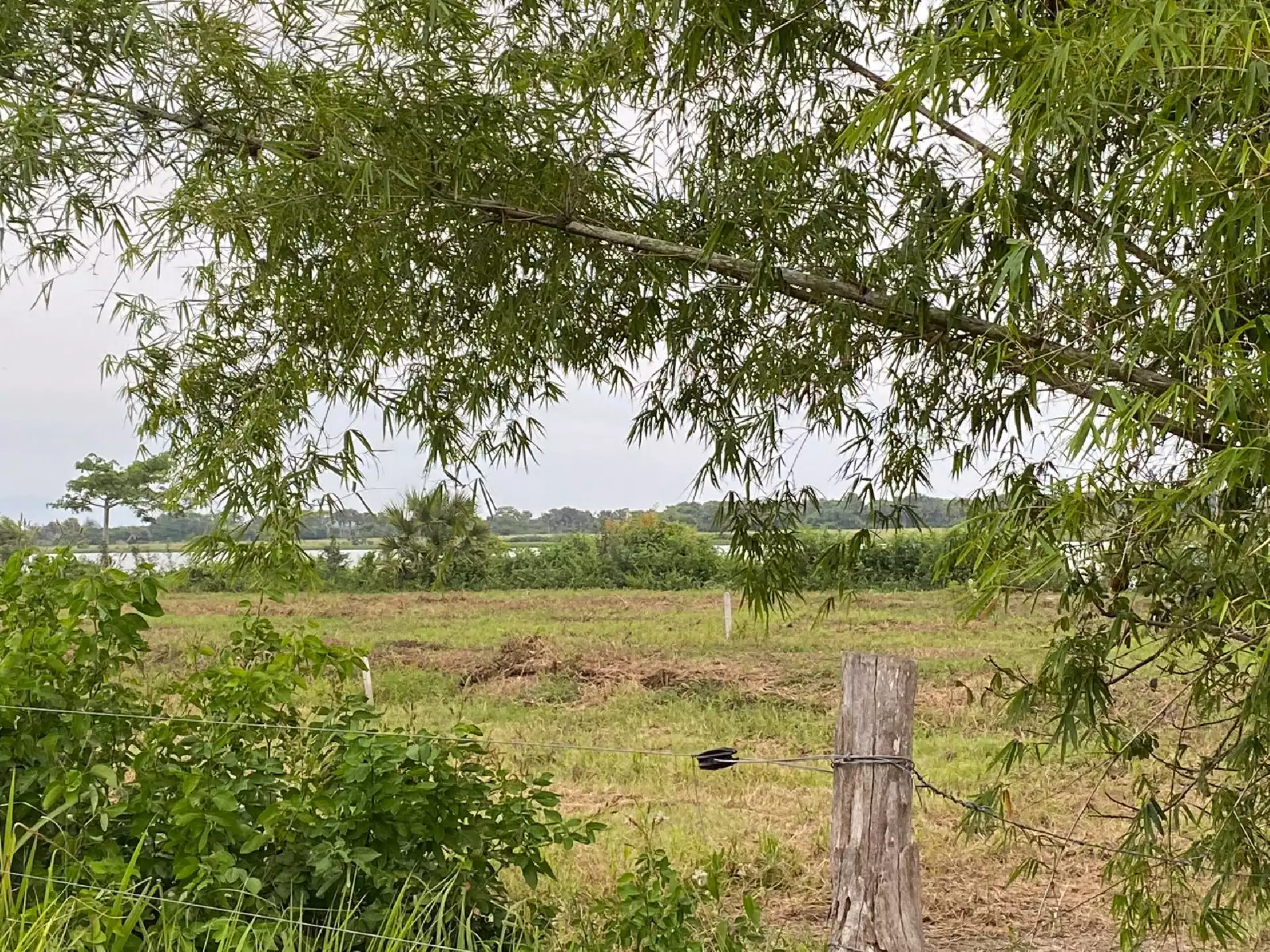 Terreno en Venta en Veracruz con Vista al Río Papaloapan