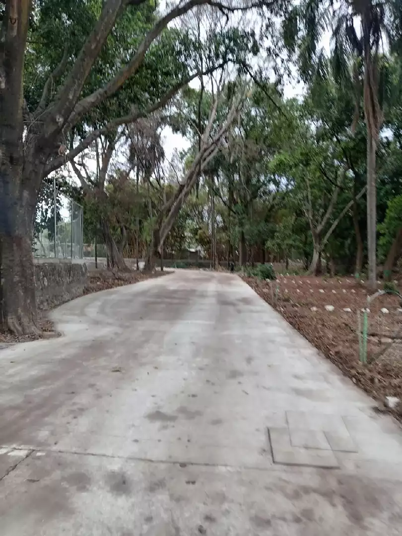 TERRENOS  EN JIUTEPEC  MORELOS