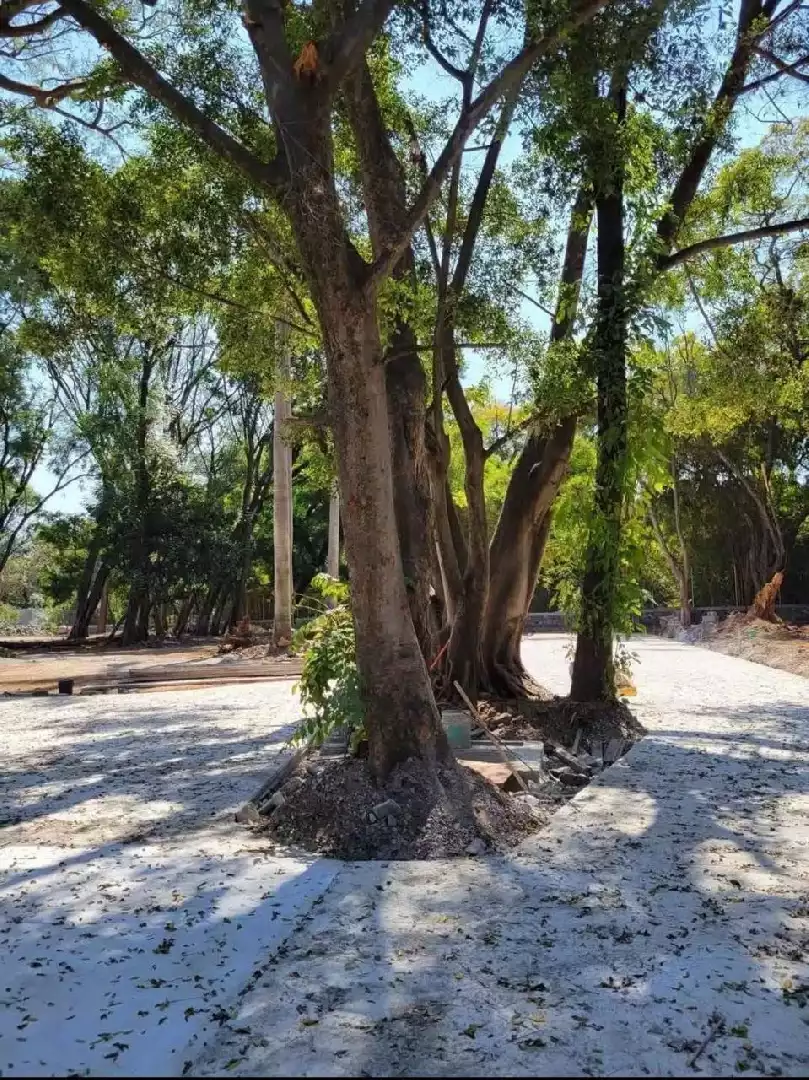 TERRENOS  EN JIUTEPEC  MORELOS