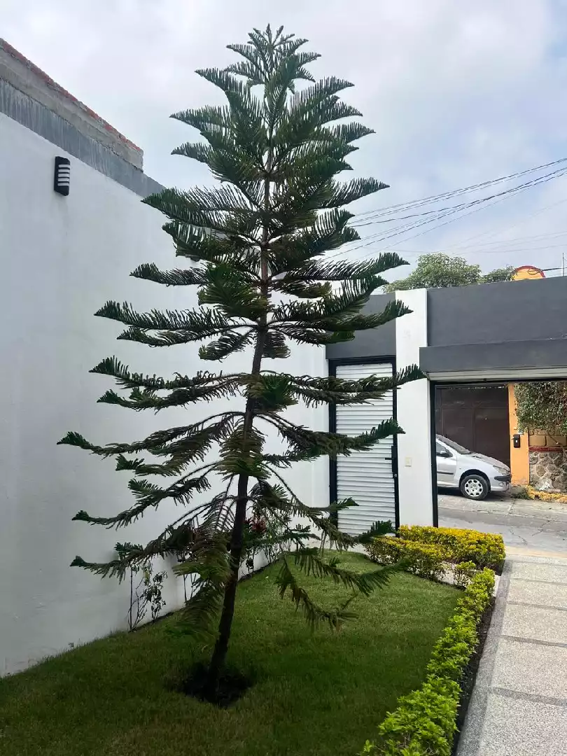CASA EN VENTA EN FRACC. CON VIGILANCIA. AMPLIACIÓN VISTA HERMOSA