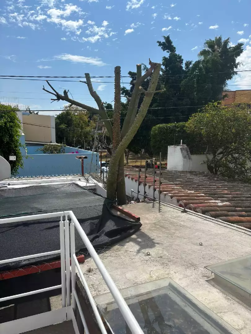 LOFT EN RENTA, COLONIA VISTA HERMOSA