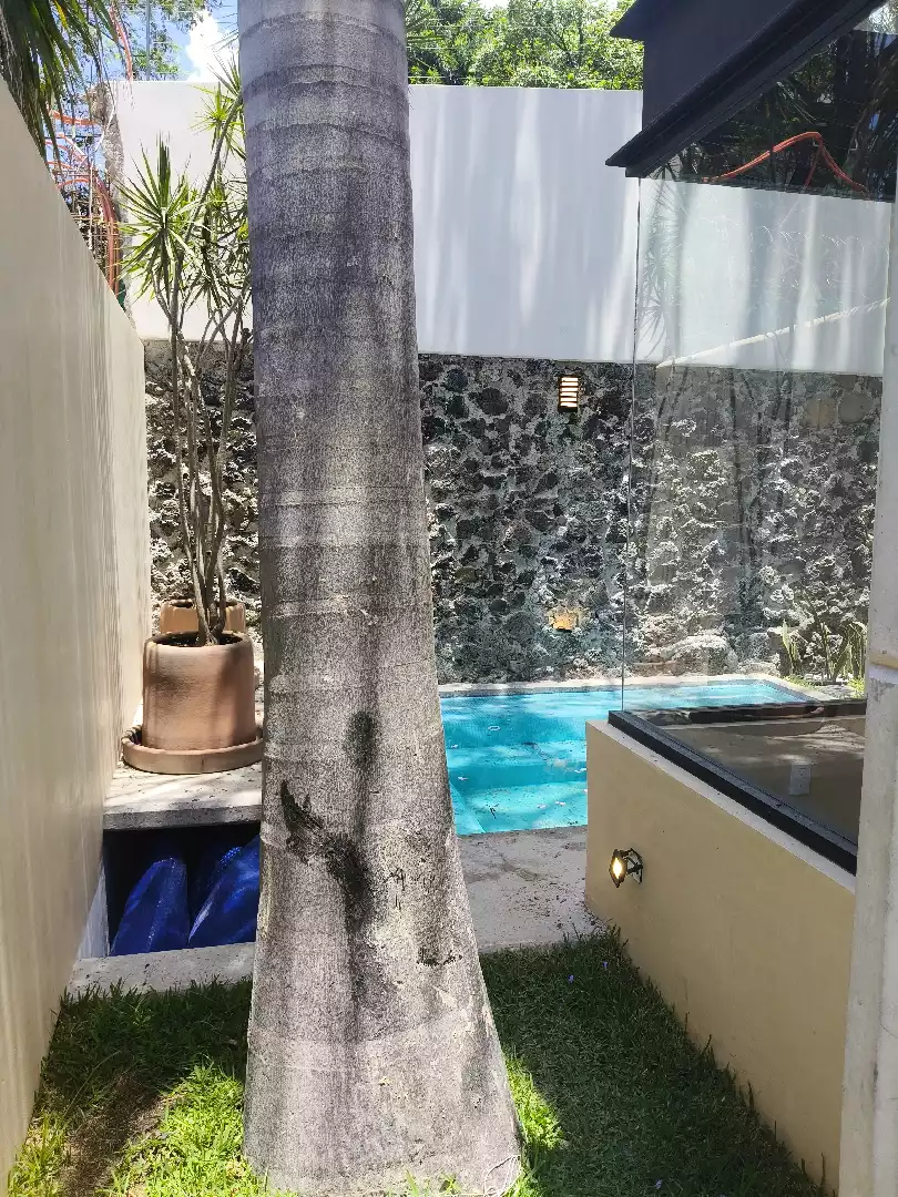 ¡Casa Exclusiva en Venta en Lomas del Mirador, Cuernavaca, Morelos!