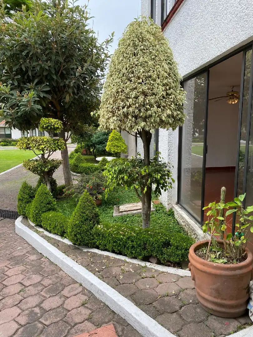 CASA DUPLEX PLANTA BAJA  EN VENTA EN CUERNAVACA MORELOS
