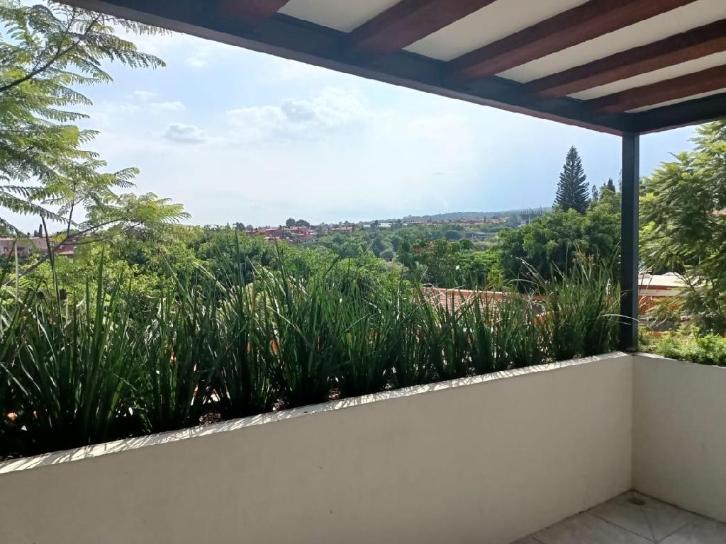 Divino departamento Calzada de los Reyes