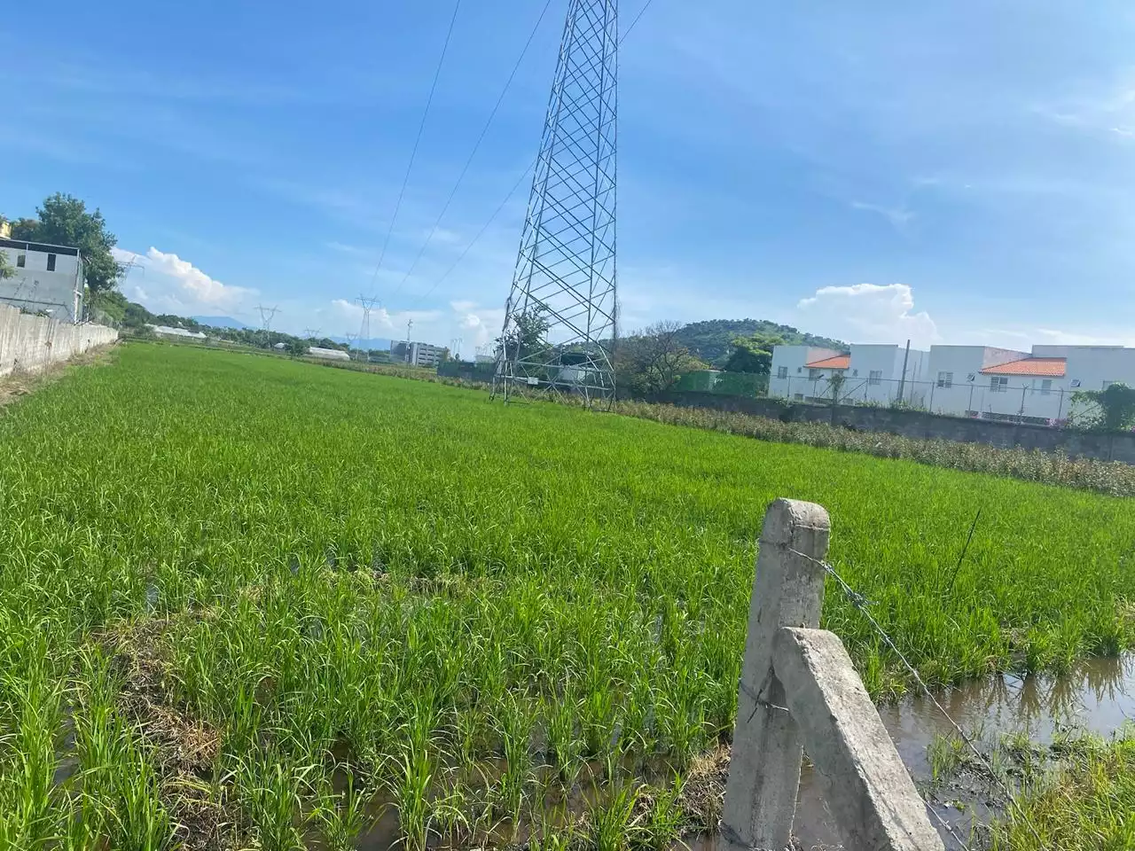 Excelente terreno plano para lotificar Alta Palmira, Temixco