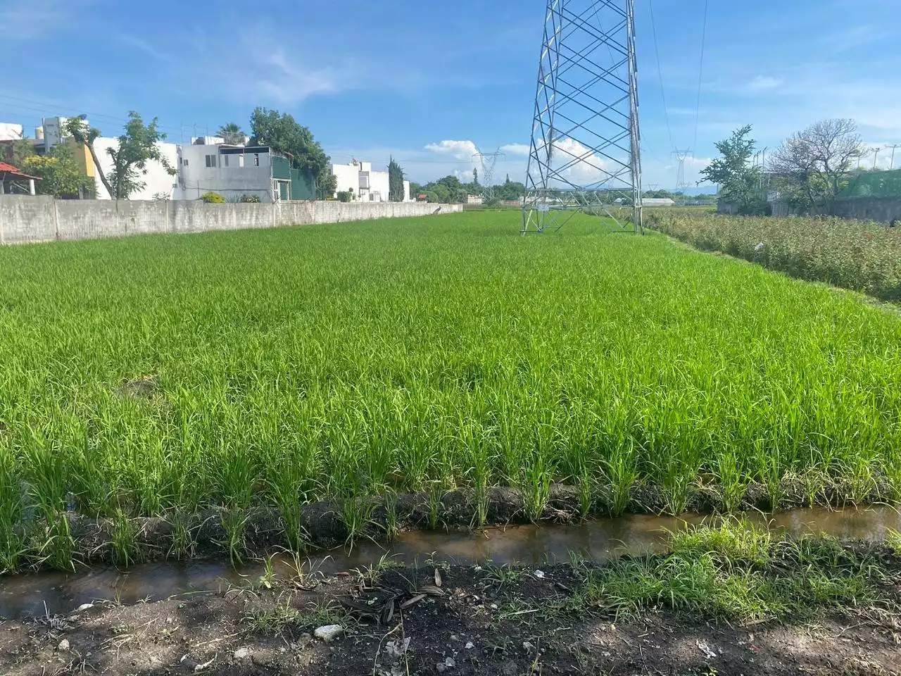 Excelente terreno plano para lotificar Alta Palmira, Temixco