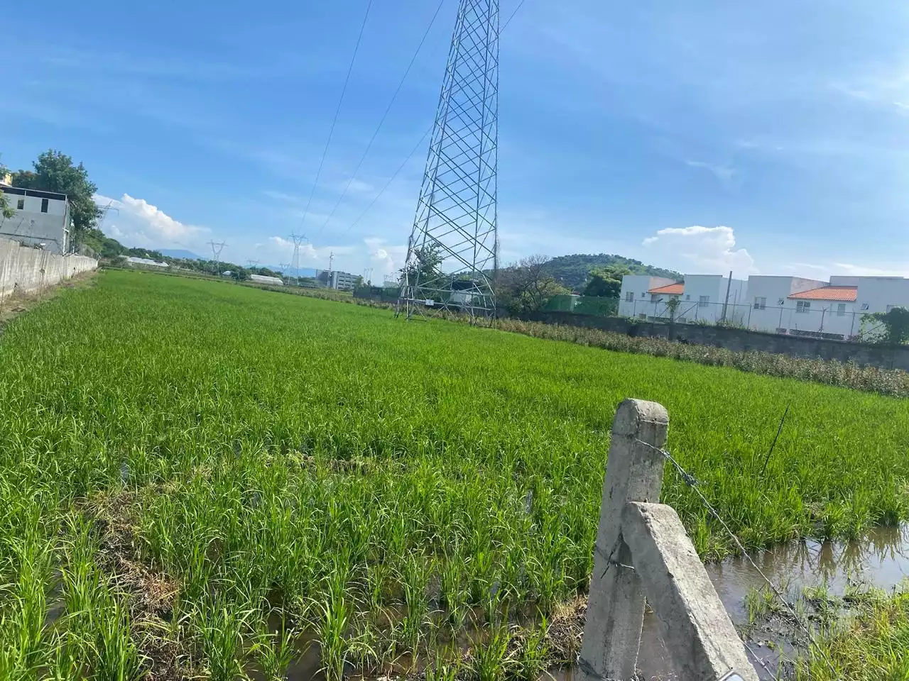 Excelente terreno plano para lotificar Alta Palmira, Temixco
