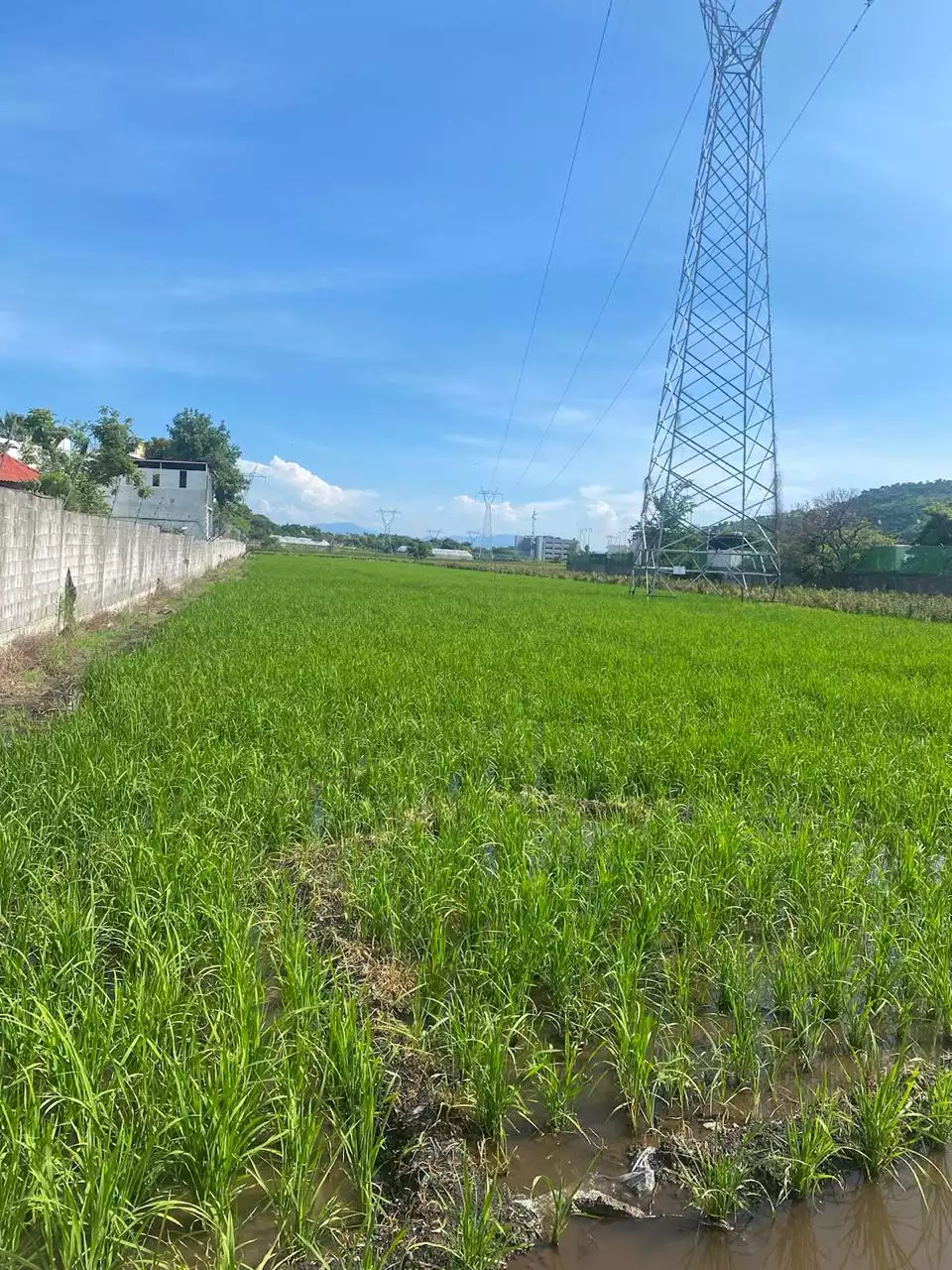 Excelente terreno plano para lotificar Alta Palmira, Temixco