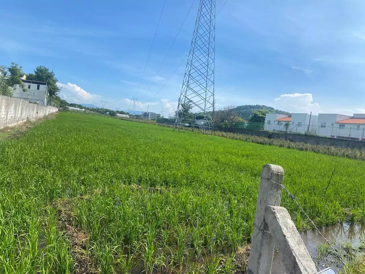 Excelente terreno plano para lotificar Alta Palmira, Temixco