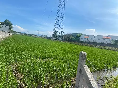 Excelente terreno plano para lotificar Alta Palmira, Temixco