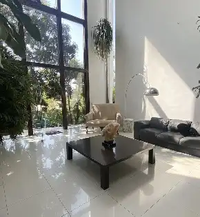 Oficina en Venta o Renta en Avenida Domingo Diez , Cuernavaca , Morelos