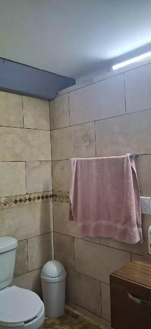 Bodega con departamento amueblado en renta