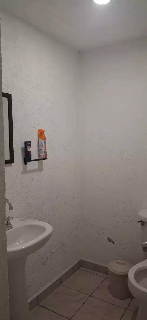 Bodega con departamento amueblado en renta