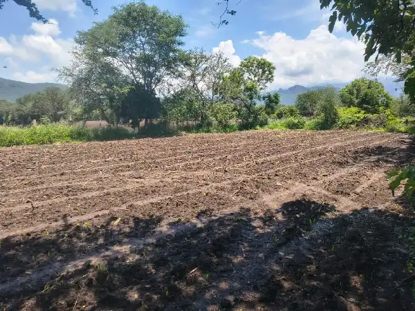 Terreno plano en venta