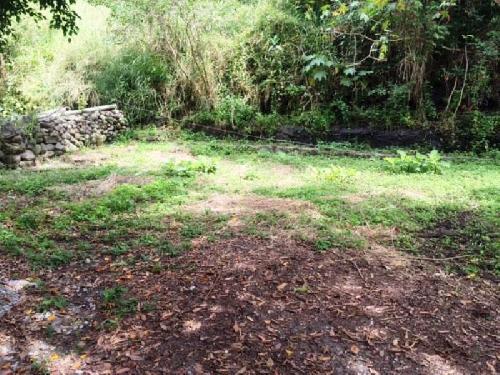 Terreno con vigilancia en privada sobre Palmira