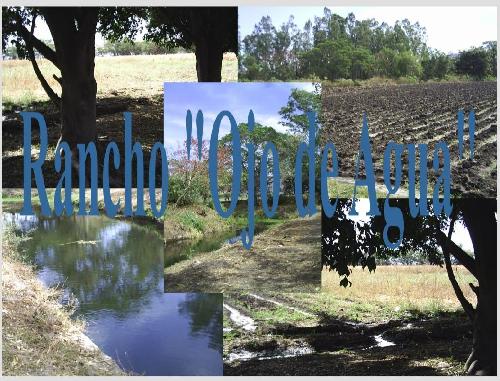 Rancho terreno comercial cerca del Centro de Cuautla Morelos.