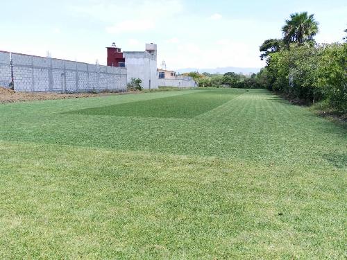 Terreno plano en Ejidos de Acapatzingo