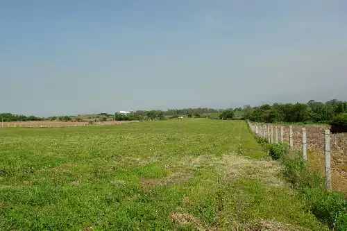 Enorme terreno en Yecapixtla con escrituras