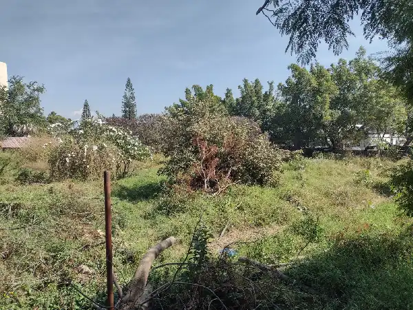Precioso terreno plano con 2 frentes en Jiutepec