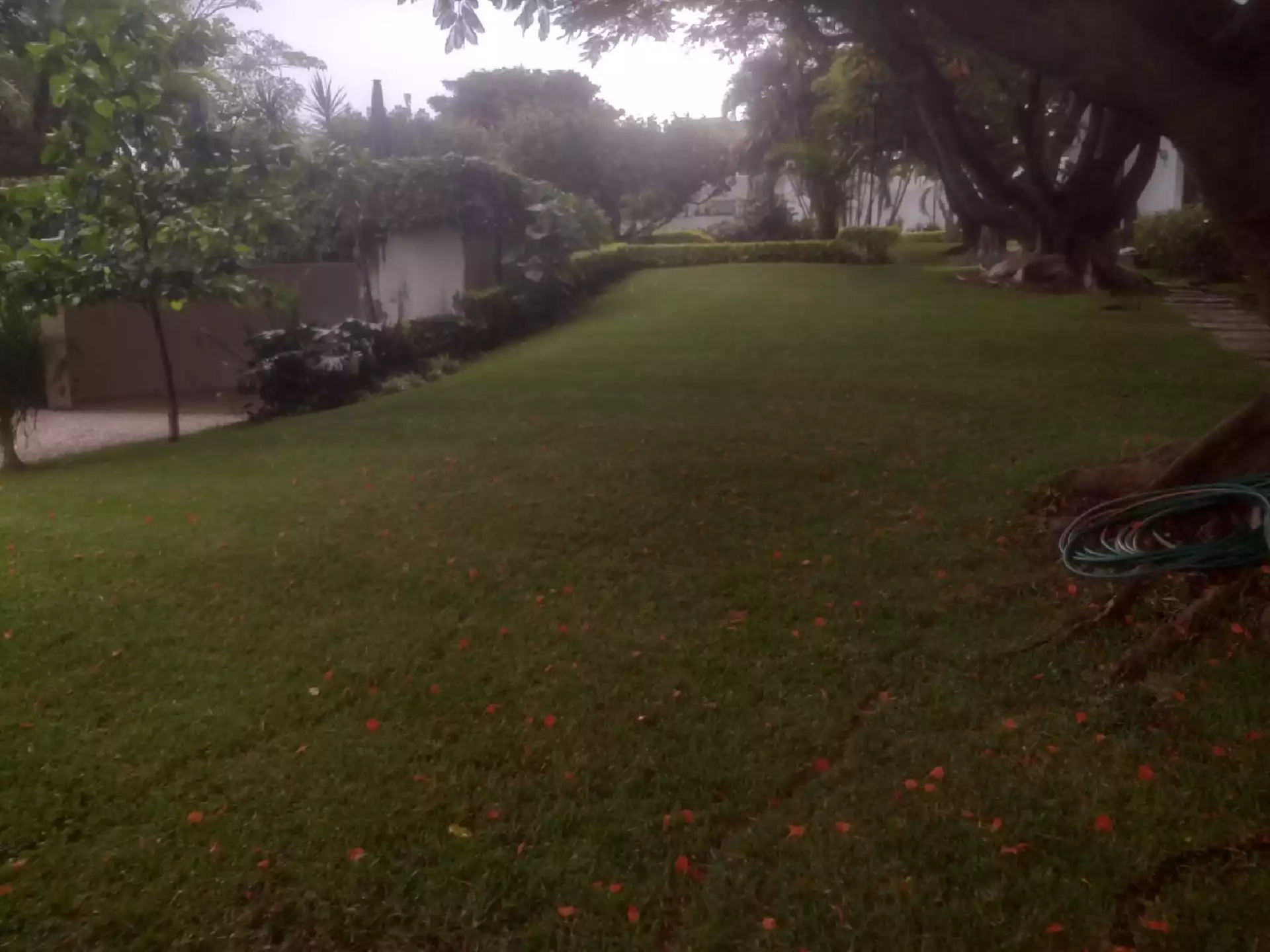 Preciosa casa en condominio en zona dorada