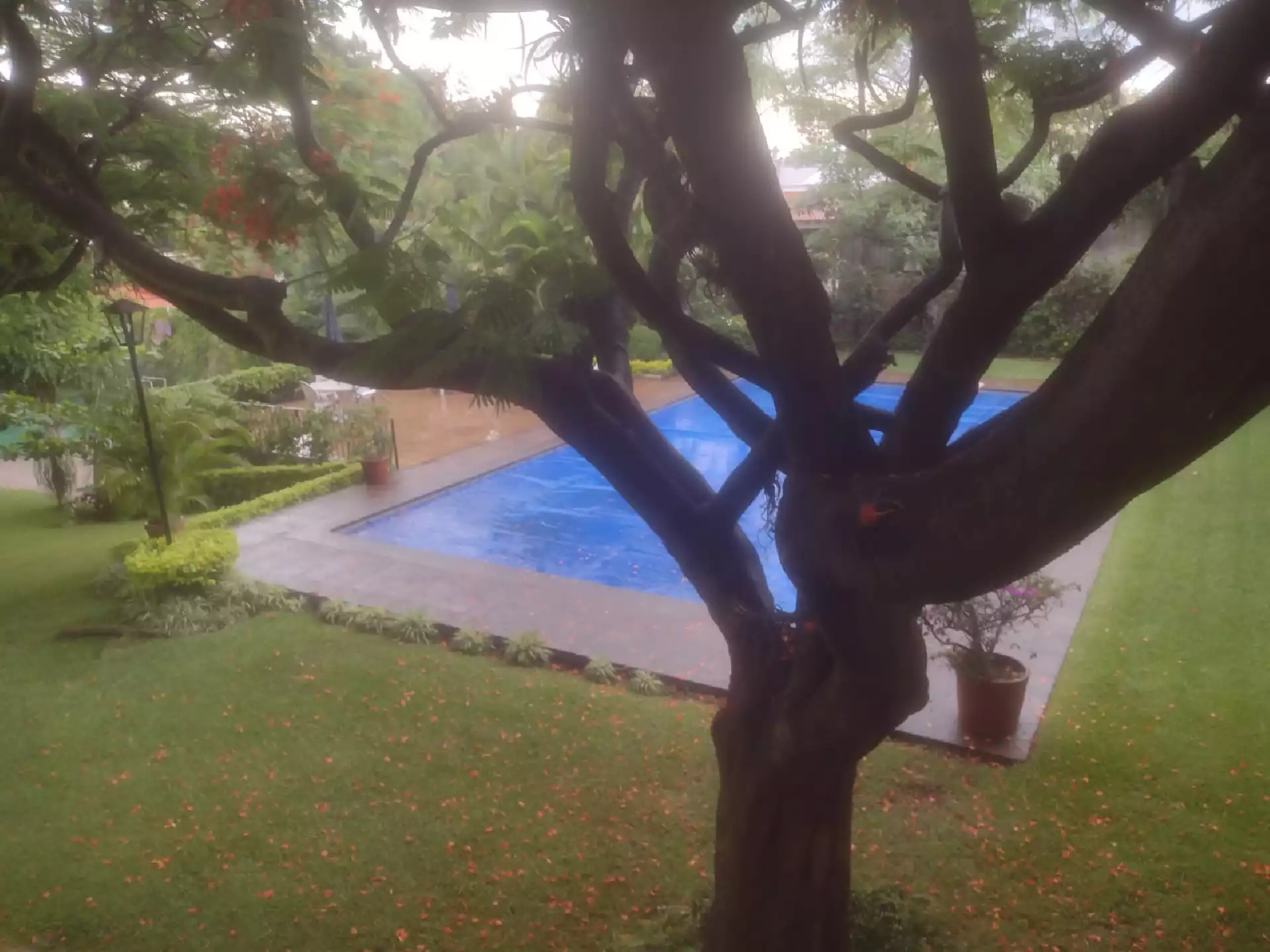 Preciosa casa en condominio en zona dorada