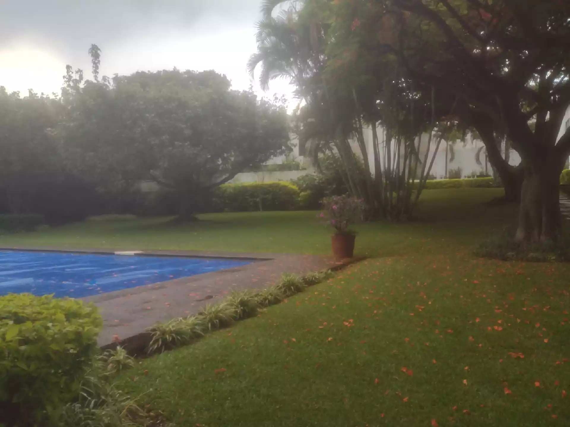 Preciosa casa en condominio en zona dorada