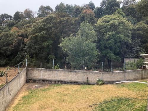 respire la paz del bosque con esta casa