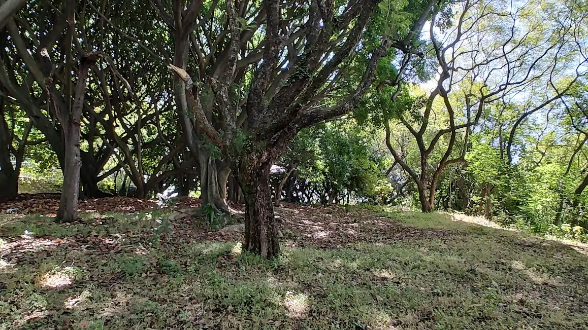 VENTA TERRENO 18,600 MTS2 EN CUERNAVACA ZONA NORTE