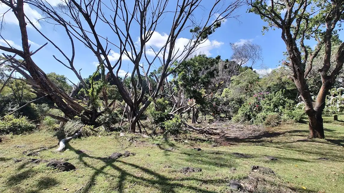 VENTA TERRENO 18,600 MTS2 EN CUERNAVACA ZONA NORTE