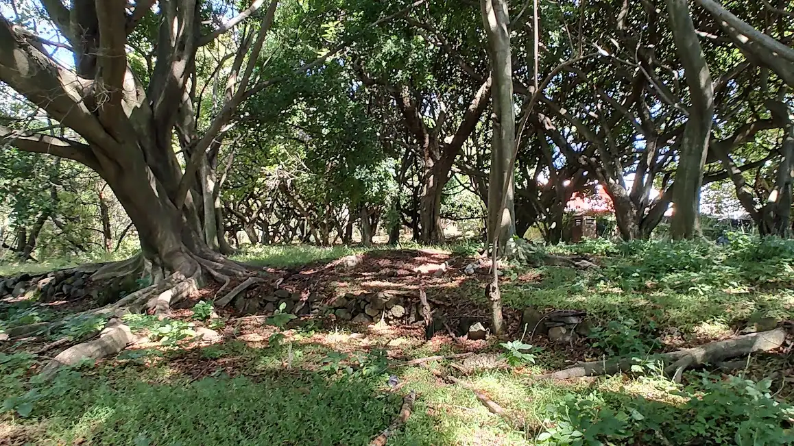 VENTA TERRENO 18,600 MTS2 EN CUERNAVACA ZONA NORTE