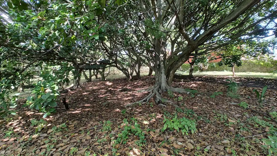 VENTA TERRENO 18,600 MTS2 EN CUERNAVACA ZONA NORTE
