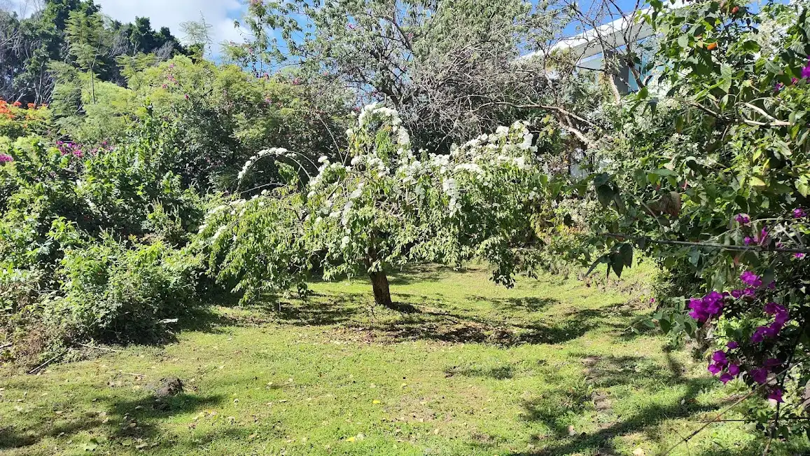 VENTA TERRENO 18,600 MTS2 EN CUERNAVACA ZONA NORTE