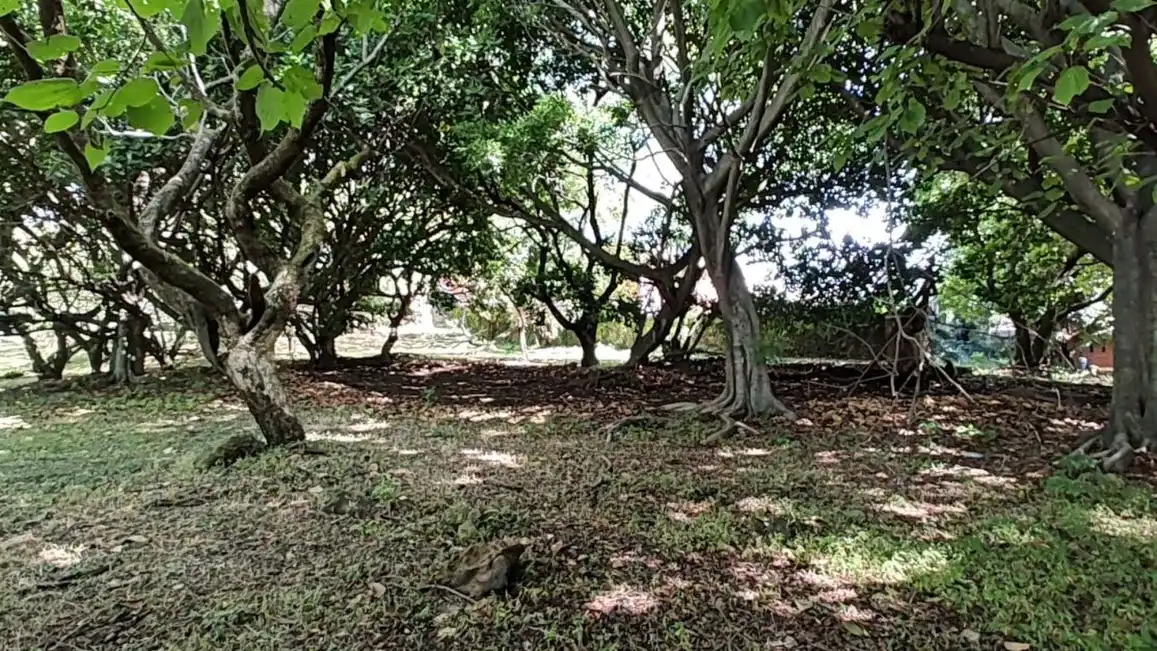 VENTA TERRENO 18,600 MTS2 EN CUERNAVACA ZONA NORTE