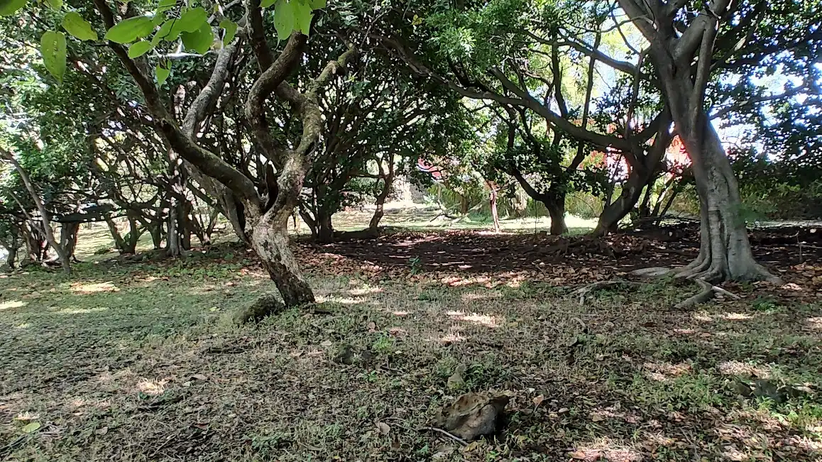 VENTA TERRENO 18,600 MTS2 EN CUERNAVACA ZONA NORTE