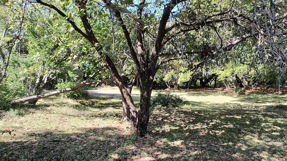 VENTA TERRENO 18,600 MTS2 EN CUERNAVACA ZONA NORTE
